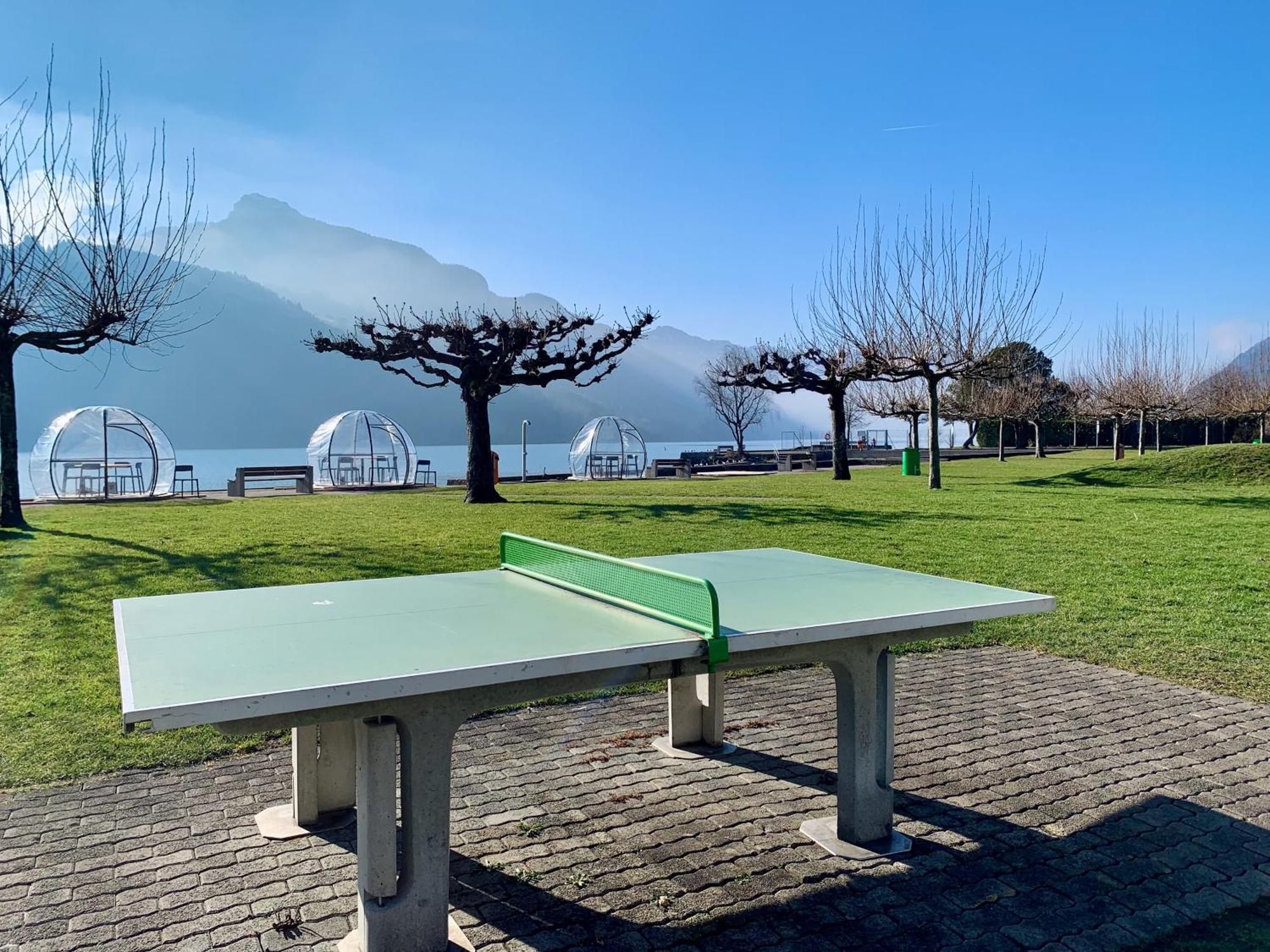 Ferienwohnung Eva O Wellnessoasis O Montainview O Pizzaoven O Ingenbohl Exterior foto